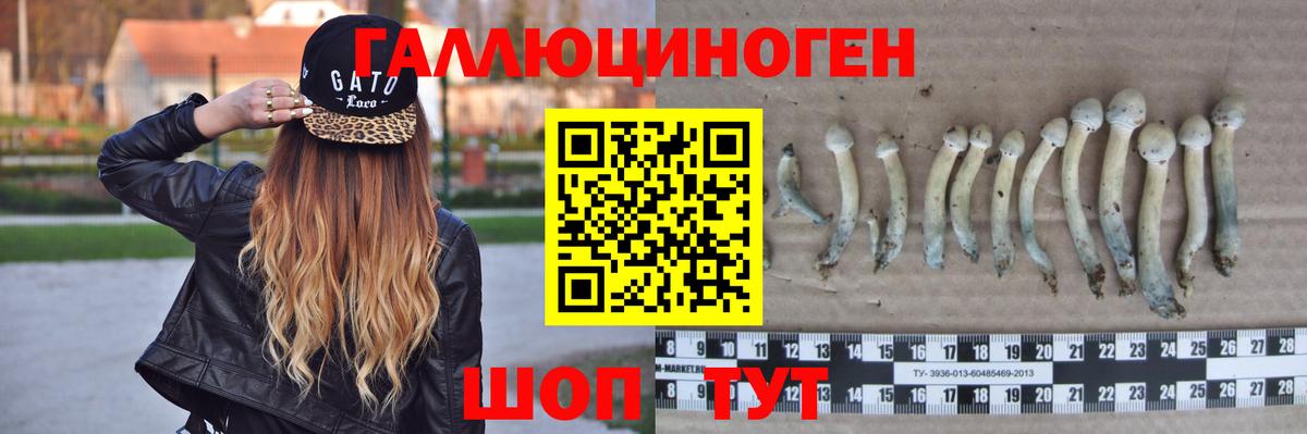 Маркс  Галлюциногенные грибы ЛСД  Вход с VPN 